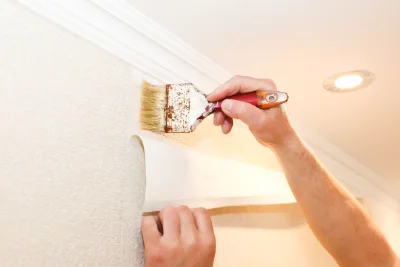 Pose de papier peint à Viuz-en-Sallaz — revêtements muraux et toiles de verre